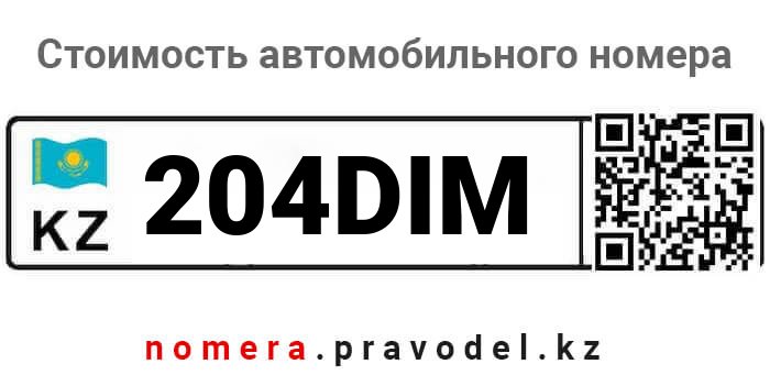 204DIM