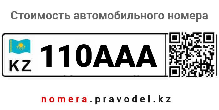 110AAA