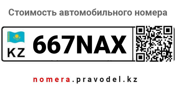 667NAX