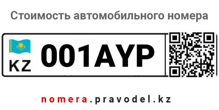 001AYP