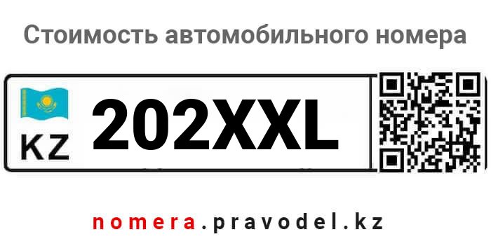 202XXL