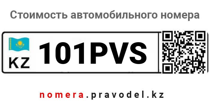 101PVS