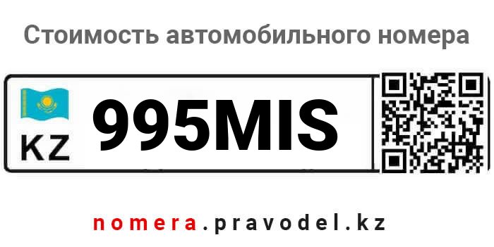 995MIS