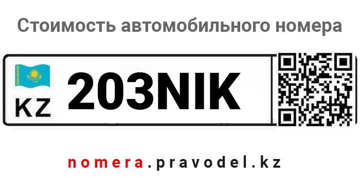 203NIK