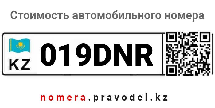 019DNR