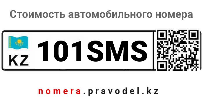 101SMS