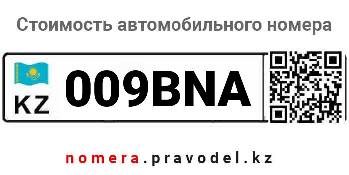 009BNA