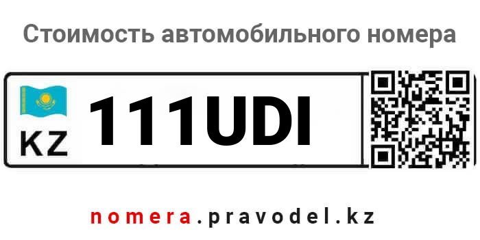 111UDI