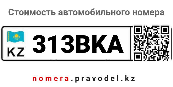 313BKA