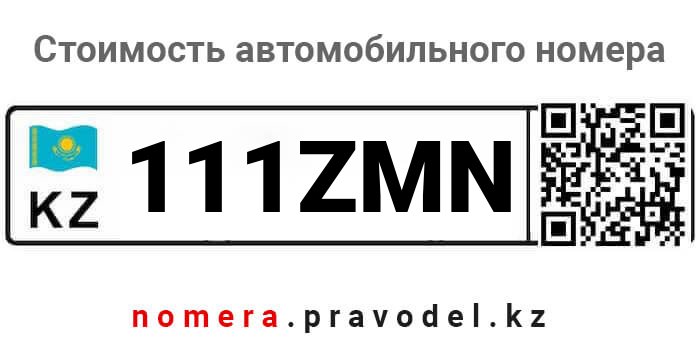 111ZMN