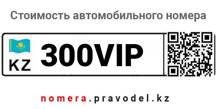 300VIP