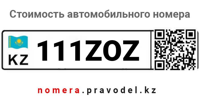 111ZOZ