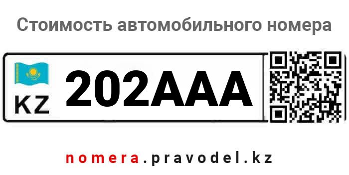 202AAA