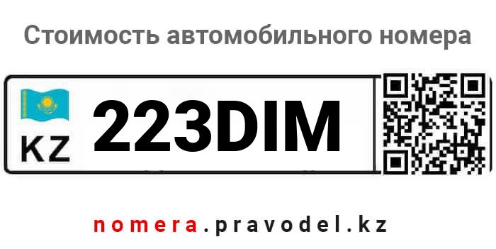 223DIM