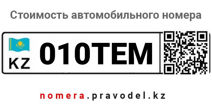 010TEM