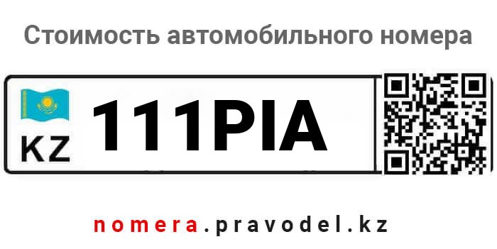 111PIA