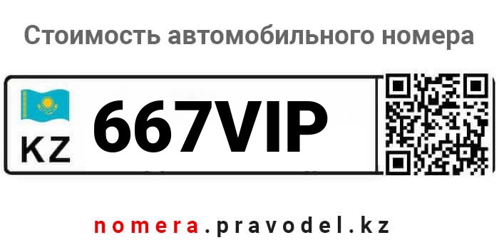 667VIP