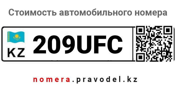 209UFC